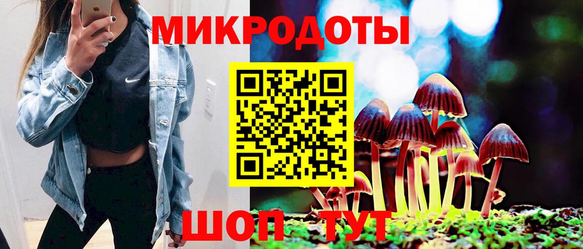 сколько стоит  Галлюциногенные грибы ЛСД  Вход с VPN  Приморско-Ахтарск  Псилоцибиновые грибы мухоморы 