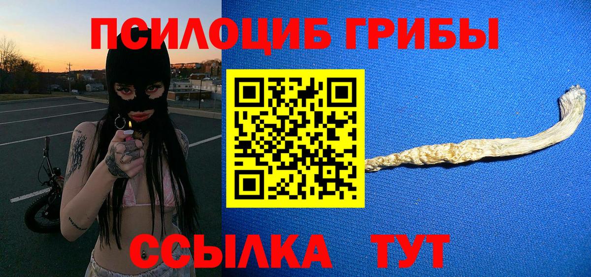 Галлюциногенные грибы прущие грибы Приморско-Ахтарск